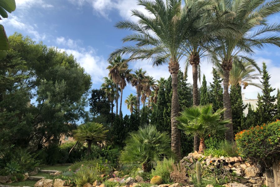 stunning villa with sea view and mediterranean garden mallorca 54d1353e