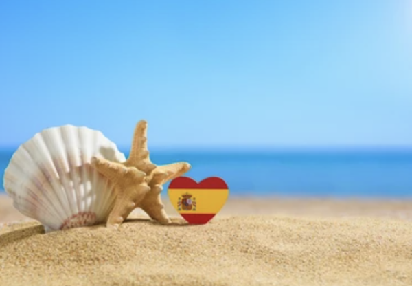 shell on the beach 608a409e