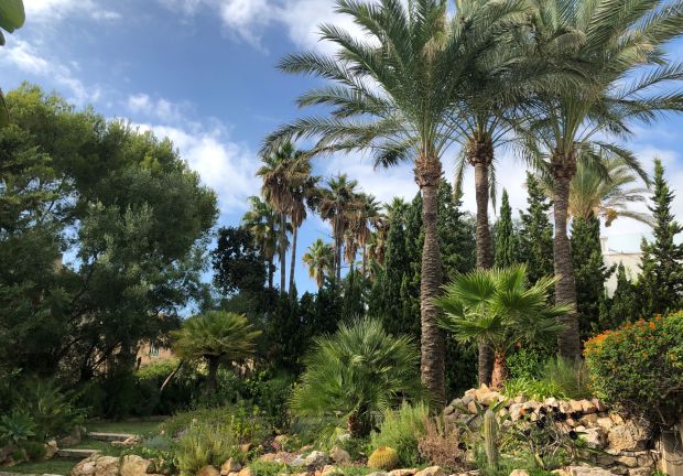 stunning villa with sea view and mediterranean garden mallorca 673cff6b