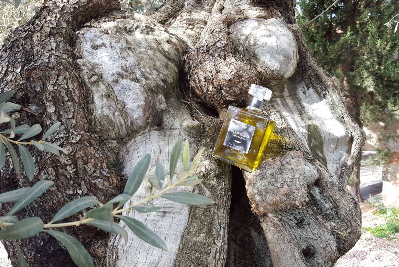 best gifts for foodies mallorca olive oil 72f51286