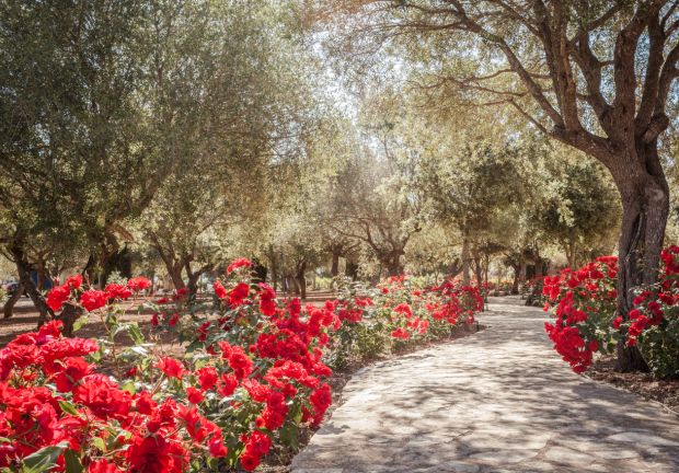 Traditional Manor House Mallorca