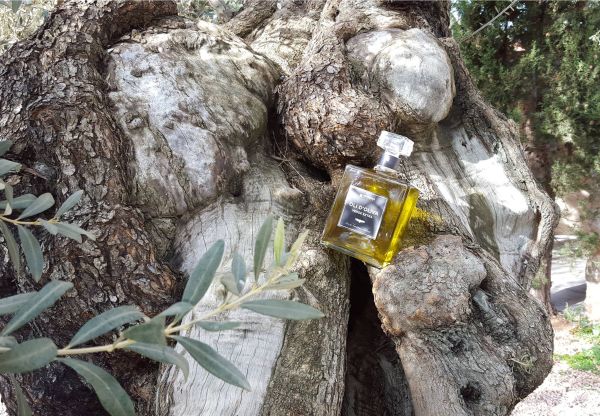best gifts for foodies mallorca olive oil 787223e8