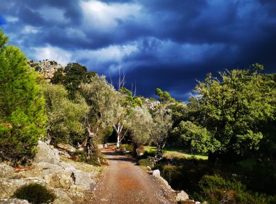 hiking Mallorca with Jorn 4 scaled 79f33ab2