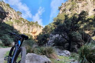 mountain bike escursion mallorca 7aa2f33a