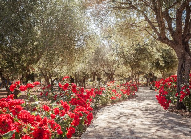 Traditional Manor House Mallorca