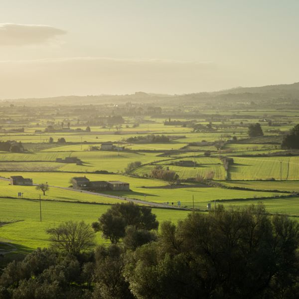 Finca Serena countryside view