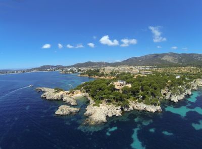 image punta negra scaled 9265277d