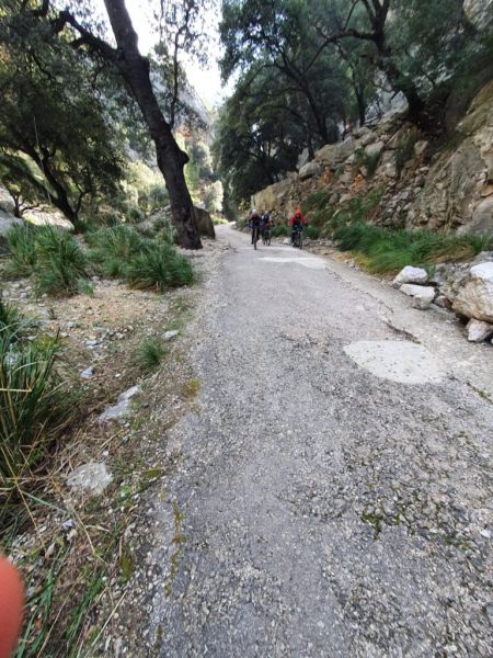 mountain bike excursion mallorca 9499ee60