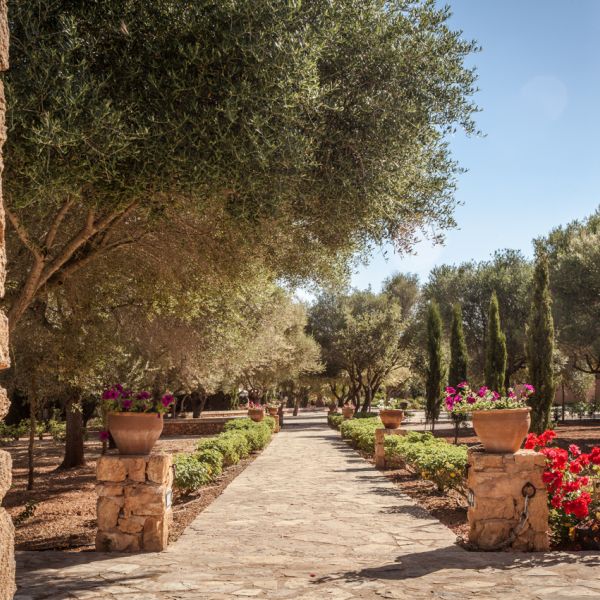 son doblons mallorca garden 96fe99ba