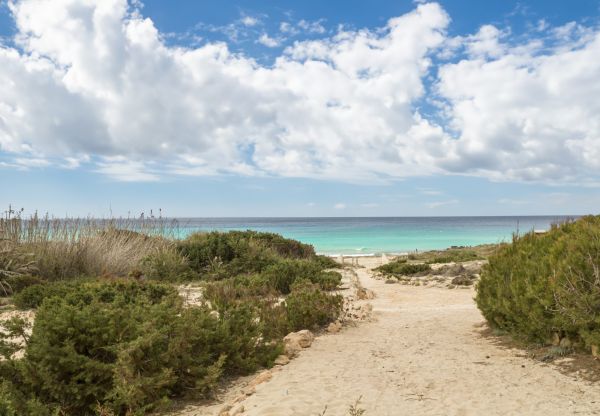 From Mallorca to Formentera, the Ultimate Balearic Escape