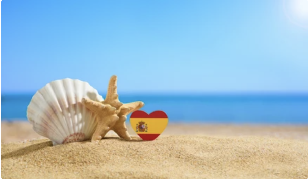 shell on the beach c05efd3c