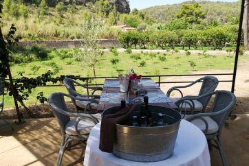 olive oil and wine tasting tour best of mallorca c3de78ce