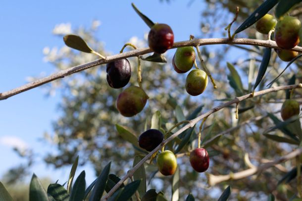 test foto for size scaled cb880088