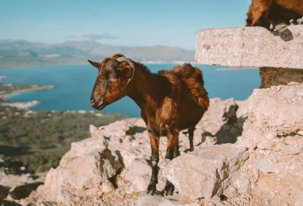 views and sights scaled db09db3d