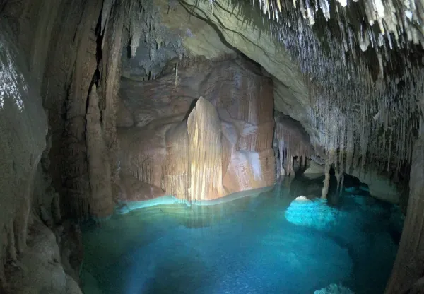 Coca des Coloms Mallorca Experiences