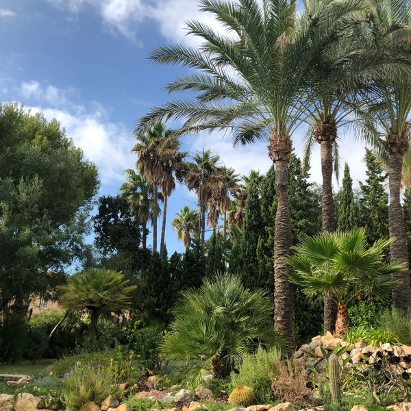 stunning villa with sea view and mediterranean garden mallorca de671d33