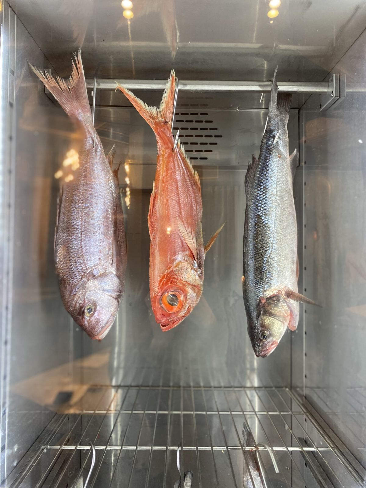 Dry aging fish La Madura Restaurant Palma de Mallorca