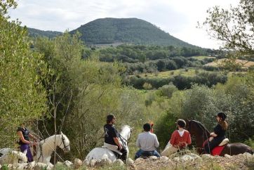 horseback riding mallorca e910c127