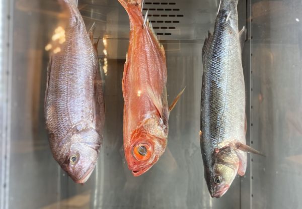 IMG 7410 1 scaled ec04527c