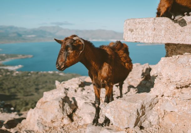 views and sights scaled fa04c07b